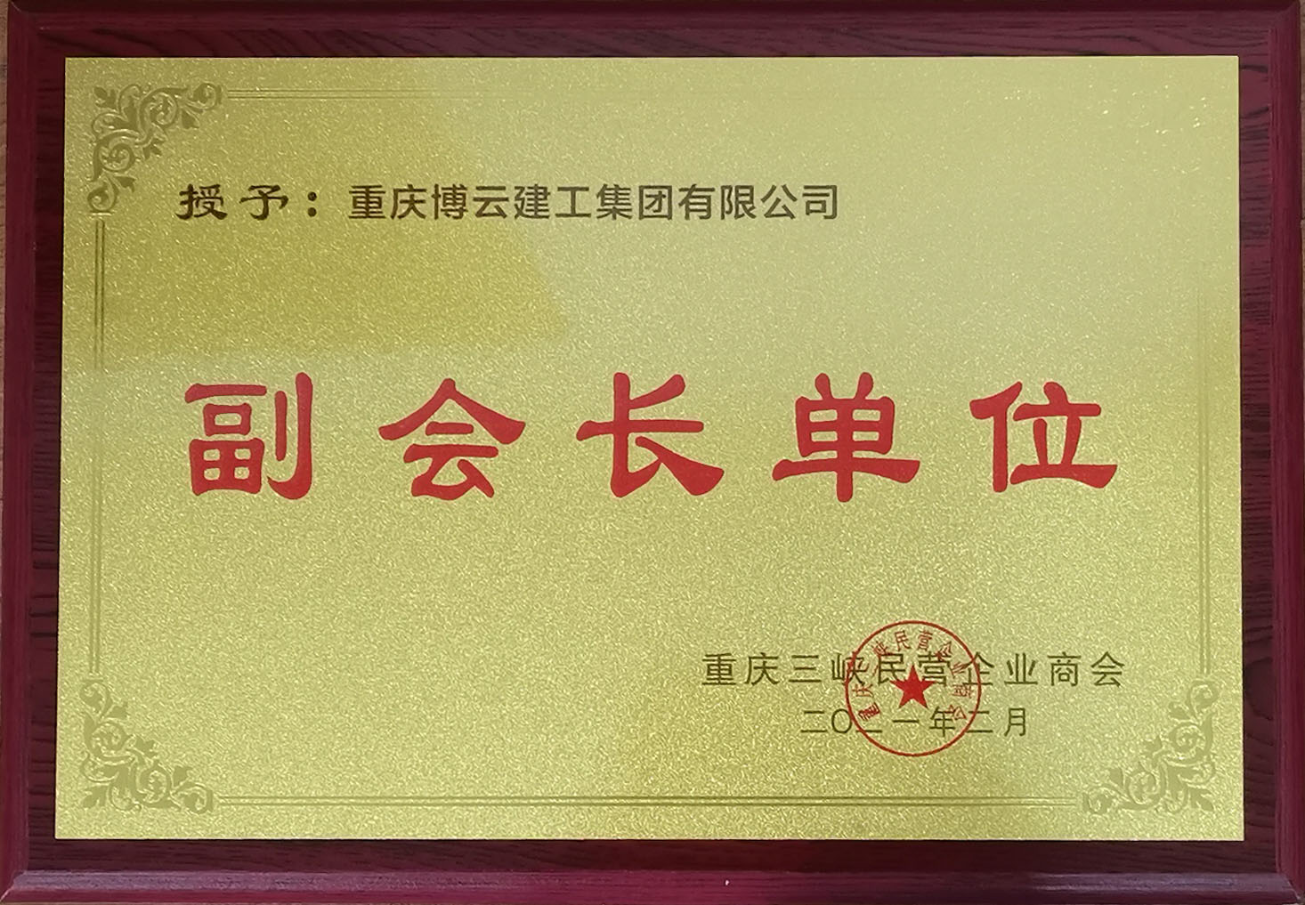 重慶三峽民營企業(yè)商會(huì)副會(huì)長單位